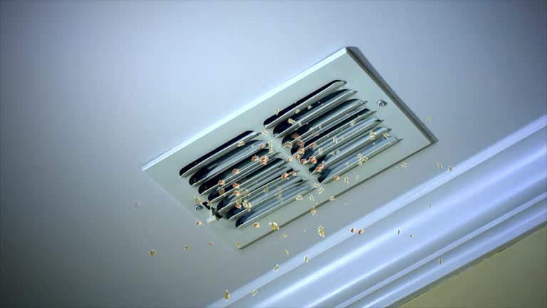 Best HVAC System Cleaning  in New Iberia, LA
